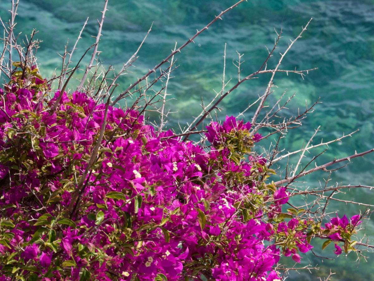 Refilea Sea View Tower Villa Vernazza Zewnętrze zdjęcie